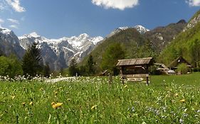 Lepa Lopa Resort Stahovica Exterior photo