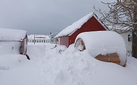 Dalvik Vegamot Cottages Exterior photo