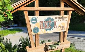 Tourist Farm Anz'K Villa Bled Exterior photo