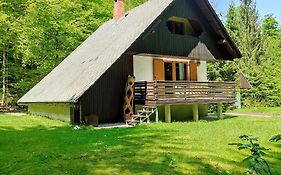 Chalet Via Mons Villa Mojstrana Exterior photo