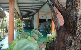Sigiri Dilu Villa Sigiriya Exterior photo