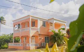 Happy Nest Dominica Hotel Marigot Exterior photo