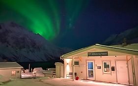 Senja Fjordcamp Hotel Torsken Exterior photo