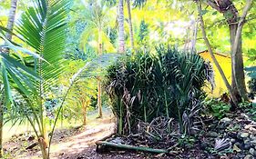 La Familia Guest House And Natural Farm Port Antonio Exterior photo