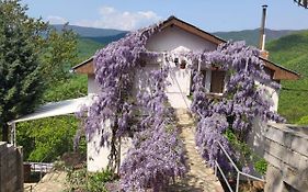 Vila Fantastico Villa Skopje Exterior photo