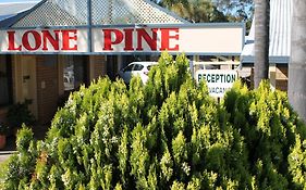 Lone Pine Motel Corowa Exterior photo