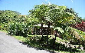 Natty Tropical Valley Hotel Roseau Exterior photo