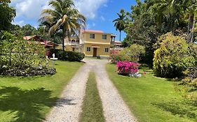 Little Shaw Park Guest House Ocho Rios Exterior photo