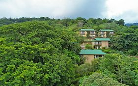 Ficus Sunset Suites Monteverde Exterior photo