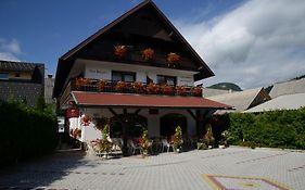 Penzion Vila Bistrica Bohinjska Bistrica Exterior photo