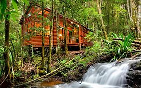 The Mouses House Rainforest Retreat Springbrook Exterior photo