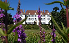 Chateau De Matel Bed & Breakfast Roanne Exterior photo