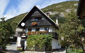 Hisa Plansar Bohinj Accommodations Exterior photo