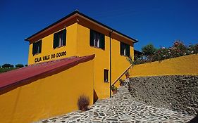 Douro Valley - Casa Vale Do Douro Villa Lamego Exterior photo