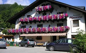 Pension Alpenrose Zell am See Exterior photo