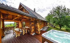 Bear'S Log Villa Seliste Dreznicko Exterior photo