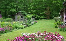 Garden Of Eden Cabins Cosby Exterior photo