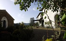 Chianti Yoga - The Tuscan Collection Hotel Greve in Chianti Exterior photo