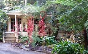 Myers Creek Cascades Luxury Cottages Healesville Exterior photo