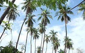 Centre Touristique Et Culturel Casamance Guest House Diakene Ouolof Exterior photo