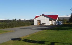 Nes Guesthouse Reykholt  Room photo