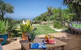 Above The Sea Bed & Breakfast Ein Hod Exterior photo