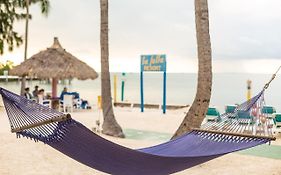 La Jolla Resort Islamorada Exterior photo