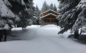 Uludag Orman Koskleri Villa Exterior photo