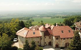 Les Lumieres De Geneve Bed & Breakfast Grilly Exterior photo