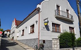 Natural Panzio Bed & Breakfast Gyor Exterior photo