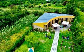 Green House Guest House Kvareli Exterior photo