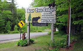 Bear Tree Lodge Weirs Beach Exterior photo