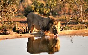 Jamila Game Lodge Vaalwater Exterior photo