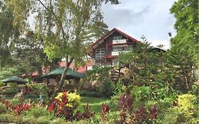 Log Cabin Hotel - Safari Lodge Baguio Baguio City Exterior photo