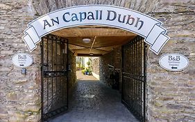 Dingle Centre Townhouse An Capall Dubh Dingle Exterior photo