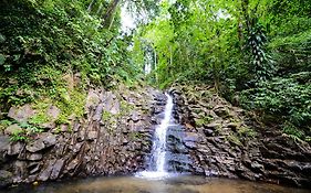 Fond Doux Eco Resort Soufriere Exterior photo