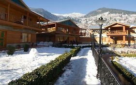 Hotel Daffodil Manali  Exterior photo