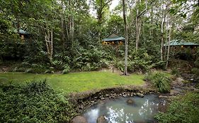 Narrows Escape Rainforest Retreat Villa Montville Exterior photo