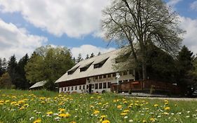 Gasthaus Staude Bed & Breakfast Triberg im Schwarzwald Exterior photo