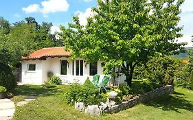 Holiday Home Slavi Vipava Exterior photo