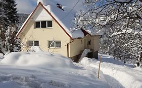 Klementina Villa Vrbovsko Exterior photo