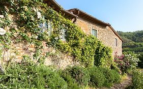 Charming Room With Private Bathroom Greve in Chianti Exterior photo