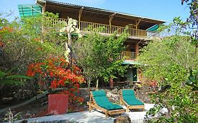 Galapagos Chalet Bed & Breakfast Puerto Ayora  Exterior photo