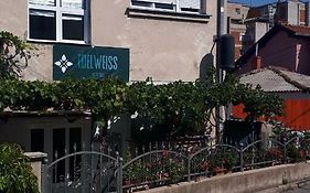 Edelweiss Hostel Stip Exterior photo