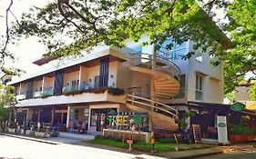 Treetop Suites Coron Exterior photo