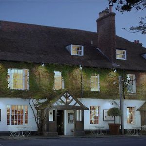 The Leicester Arms Hotel Penshurst Exterior photo