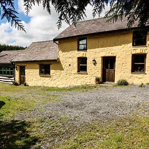 Bryngolau Hotel Brechfa Exterior photo