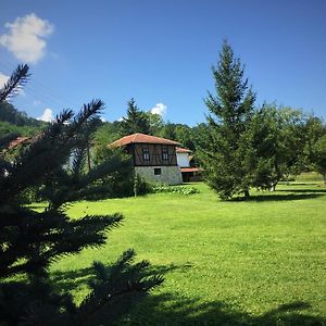 Etno Kuca - Rakic Villa Svrljig Exterior photo