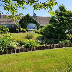 Meadow View B&B Ballymena Exterior photo