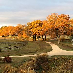 Haras Du Vignault Le Bucher Bed & Breakfast Salbris Exterior photo